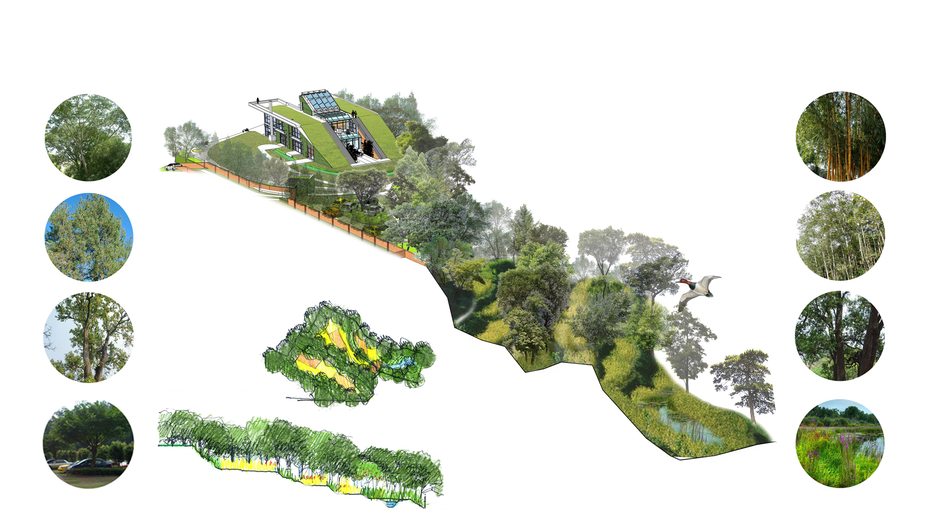 green-roof-house-map-design-i-map-architects-i-map-architecture