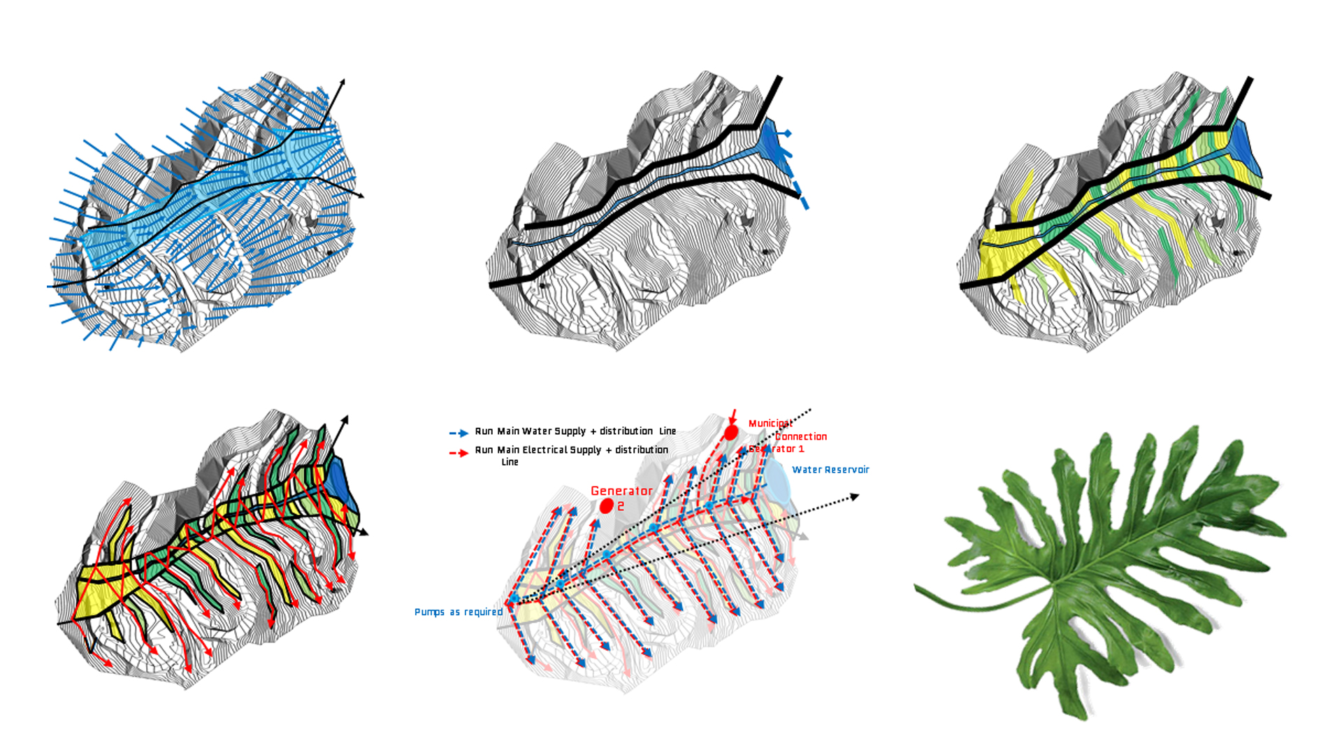 Steam leaf diagrams фото 28